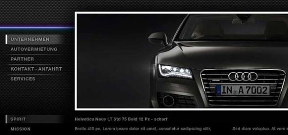 Ausschnitt der Website von Platinum Cars